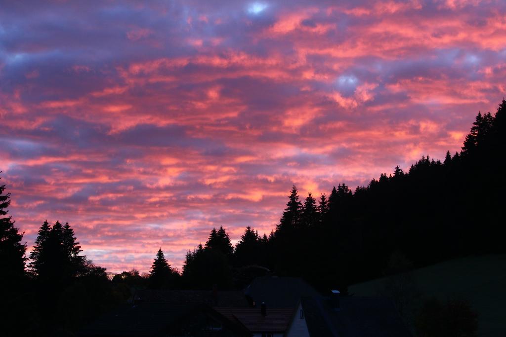 Gasthof Schwarzwaldtanne Schönwalde Kültér fotó