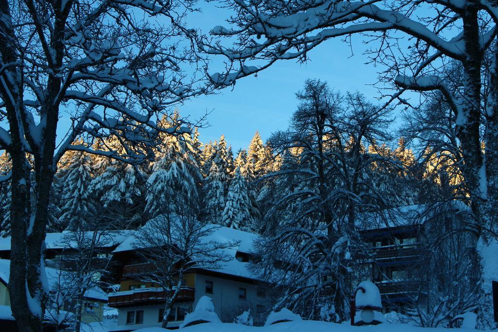 Gasthof Schwarzwaldtanne Schönwalde Kültér fotó