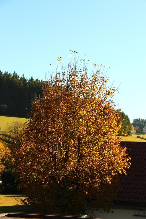 Gasthof Schwarzwaldtanne Schönwalde Kültér fotó