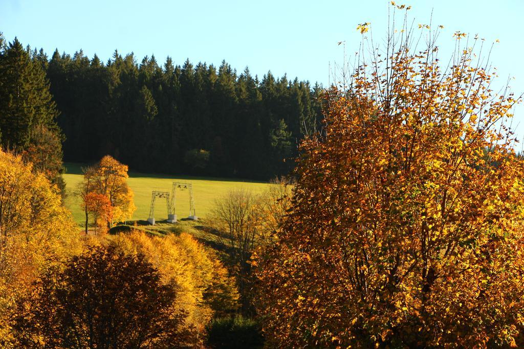 Gasthof Schwarzwaldtanne Schönwalde Kültér fotó
